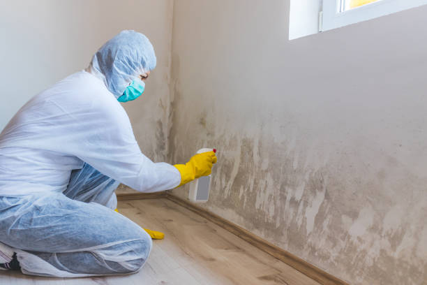 Hvac And Air Duct Mold Remediation inspection of HVAC system in Marysville